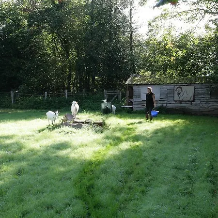 Couette-café Le Petit Mas D'ile