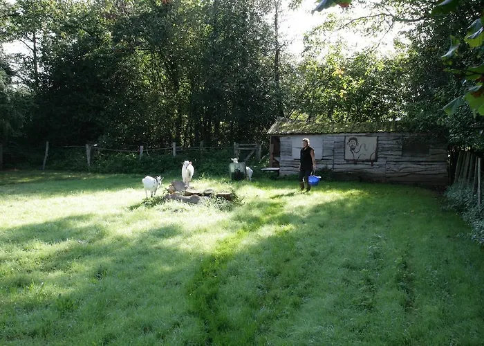 Bed & Breakfast Le Petit Mas D'ile